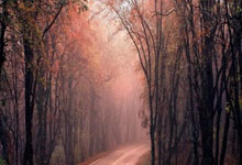 南宫28：[高尔夫]衡泰信女子公开赛强将云集 曾莉棋激动重返女子中巡.