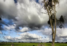 南宫28：[图]友谊赛-拜仁14-1大胜业余球队罗塔赫埃根.