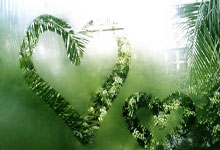 南宫28：曼联夏季转会计划曝光！阿莫林欲签五名新球员，欧冠资格关乎大牌球员的命运.